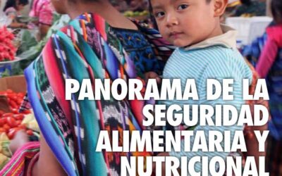 Publicación Científica: Informe de Seguridad Alimentaria y Nutricional en América Latina y el Caribe